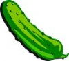 pickle-pickles-27629021-120-107.jpg