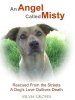 angel called Misty last one2(small version).jpg
