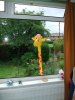 DSCF1612.jpg
