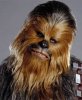 chewy.jpg