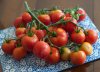 tomatoes 4 S.jpg