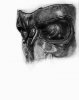 T-Sketch (2).jpg
