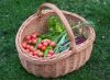 autumn produce S.jpg