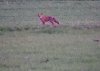 Schermafbeelding 2015-04-09 om 21.58.57.png