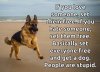 set them free dog.jpg