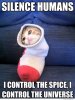 dune-cat.jpg
