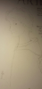 upload_2016-6-16_20-30-31.png
