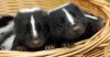 upload_2016-7-6_10-3-8.jpeg