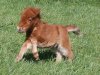 upload_2016-9-26_16-2-34.jpeg