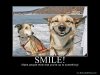 Smiling-Dog-Motivational-Poster.jpg