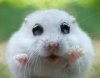upload_2016-12-9_16-45-25.jpeg