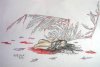 DSCN4778.JPG