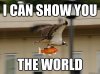 Icanshowyoutheworld.jpg