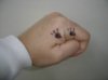upload_2017-6-5_16-8-16.jpeg