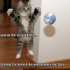 CeilingCat.jpg