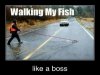 Walking My fish.jpg