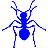 Bluefireant