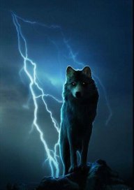 stormwolf59