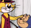 Top Cat