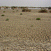 Dryriver