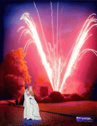 weddingfireworkssolihull