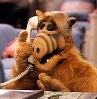 Alf