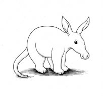 Sleepy Aardvark