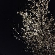 PoemNerd212