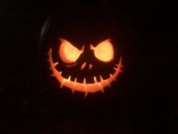 cfalnevermore