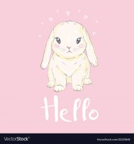 SaltyBunny