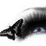 endlesshope13
