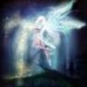 nightheart1