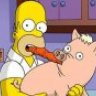 SpiderPig