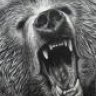 Ursus_Buckler
