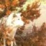 greywolf90