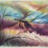 ShadowScribbler