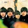beatleborg