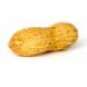 The Peanut Monster