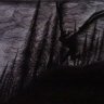 Glaives