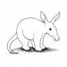 Sleepy Aardvark