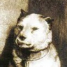 Denegroth