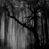 eric_sinclair