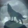 Lone Wolf
