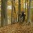 MountainBiker