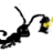Spearnymph