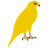 goldhawk