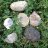 Unreasonable Stones