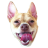 datahound2u