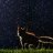 FoxInSpace
