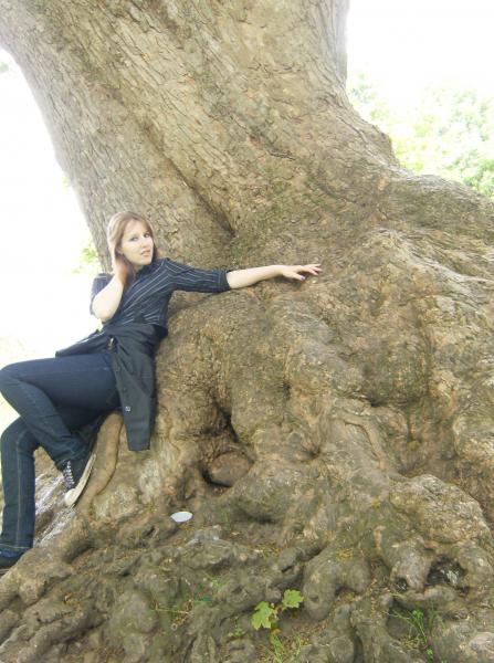 The TREE.
